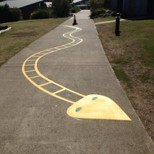 Residential line marking and designs